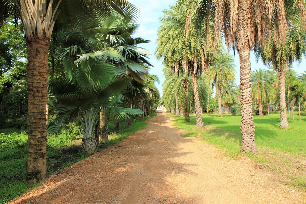 Lopburi Palm Resort Zewnętrze zdjęcie