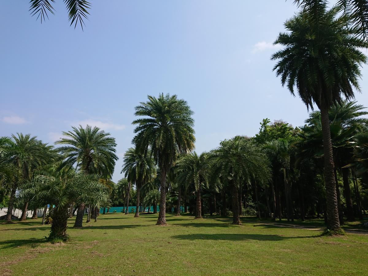 Lopburi Palm Resort Zewnętrze zdjęcie