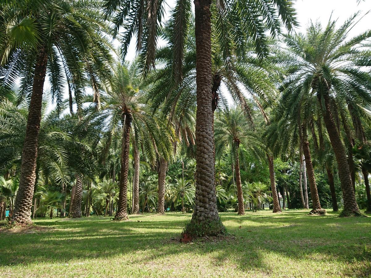 Lopburi Palm Resort Zewnętrze zdjęcie